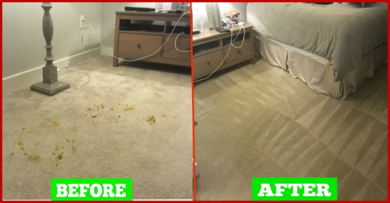 carpet cleaning DC